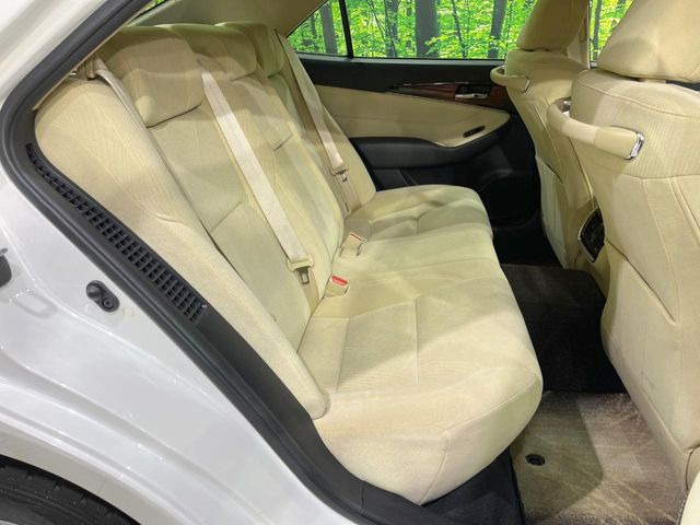 �㕔���Ȃ��C�ɂȂ�悤�ȃL�Y�E�����ւ��蓙�A�傫�ȃ_���[�W�͂Ȃ��A�ǍD�ȏ�Ԃł��B