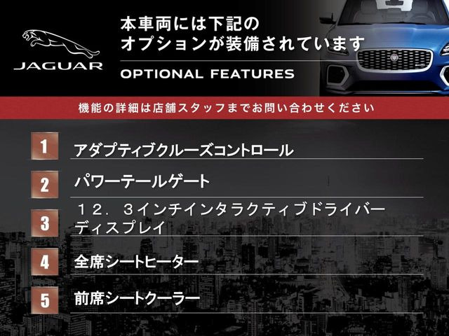 XFスポーツブレイク