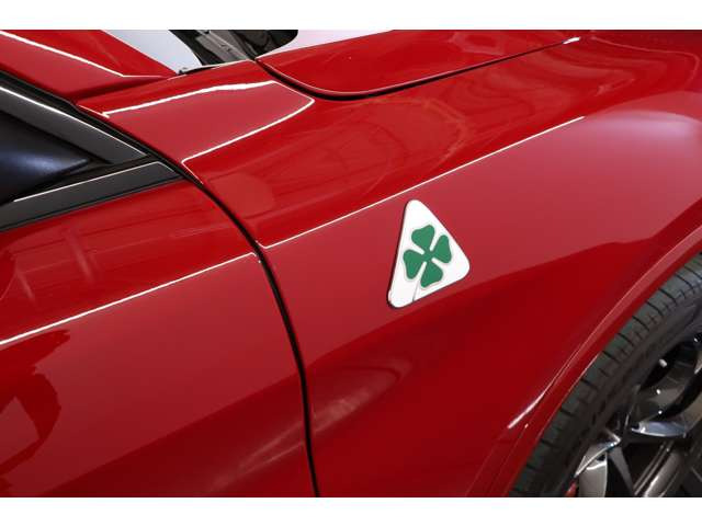 �G���W���̓t�F���[�������2.9L V6�c�C���^�[�{���ڂŁA0�]100km/h��3.8�b�Ƃ���SUV�炵����ʏr�q��������Ă���܂��B