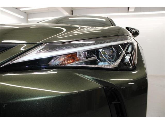 ���Ǝҗl�ւ̔̔��͂��f�肳���Ă��������܂��B �Ԍ������ԗ��̏ꍇ�́A�Ԍ����擾�������x�������z�ŕ\�����Ă���܂��B