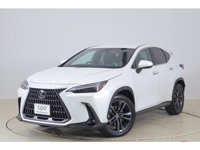 NX250 バージョンL