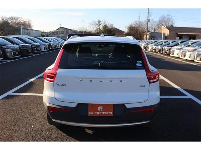 ���Ǝҗl�ւ̔̔��͂��f�肳���Ă��������܂��B �Ԍ������ԗ��̏ꍇ�́A�Ԍ����擾�������x�������z�ŕ\�����Ă���܂��B