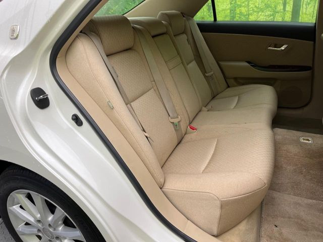 �㕔���Ȃ��C�ɂȂ�悤�ȃL�Y�E�����ւ��蓙�A�傫�ȃ_���[�W�͂Ȃ��A�ǍD�ȏ�Ԃł��B