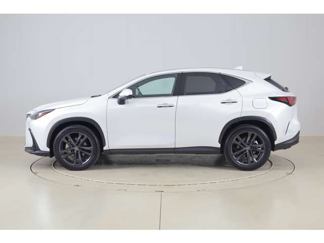 NX250 バージョンL