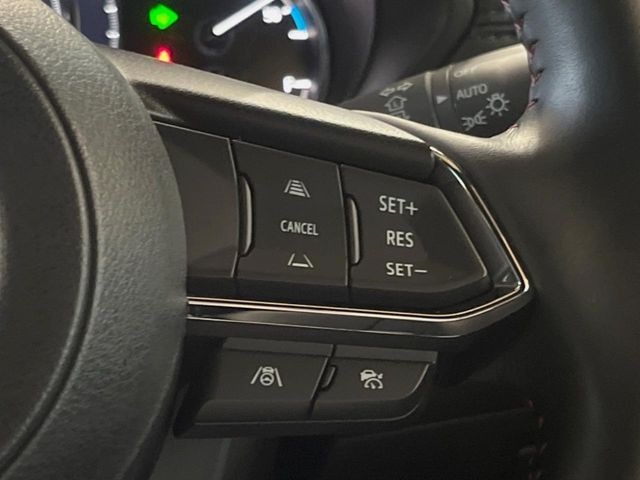 �y�}�c�_�E���[�_�[�N���[�Y�R���g���[���z�������H�ł̒��������s���y��!�����ő��x��ۂN���[�Y�R���g���[�����A�Փˌy���V�X�e���ƘA�g���A�O���̎ԗ������m���ĎԊԂ�ۂ悤�ɑ��x���߂��Ă���܂�!!