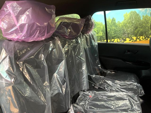 �㕔���Ȃ��C�ɂȂ�悤�ȃL�Y�E�����ւ��蓙�A�傫�ȃ_���[�W�͂Ȃ��A�ǍD�ȏ�Ԃł��B