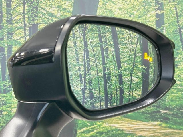 �y�u���C���h�X�|�b�g���j�^�[�z���s���A�h�A�~���[�̎��p�ɂȂ�₷���ӏ��Ɍ㑱�Ԃ��ڋ߂���ƃT�C�h�~���[�̃����Y�Ɍx����\��!�h���C�o�[�ɒ��ӊ��N�����Ă���܂��B