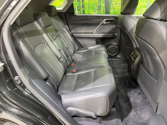 �㕔���Ȃ��C�ɂȂ�悤�ȃL�Y�E�����ւ��蓙�A�傫�ȃ_���[�W�͂Ȃ��A�ǍD�ȏ�Ԃł��B