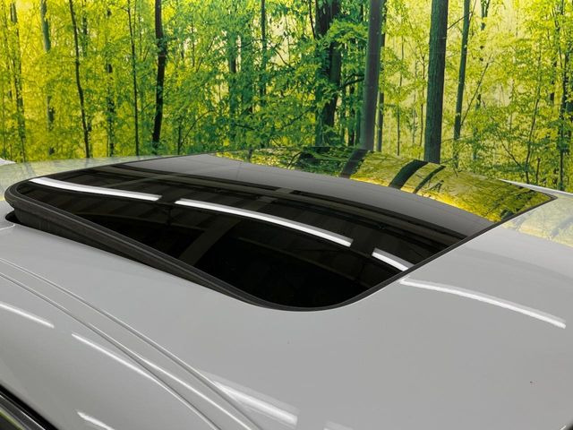 �y���[�����[�t�z�J���������Ղ�̊󏭑����A���[�����[�t����������Ă��܂�!�ԓ��ɖ�����������ꂽ��i�F���y���ވȊO�ɂ��A�ԓ��̋�C���ȒP�Ɋ��C�ł��ĉ��K�ł�!