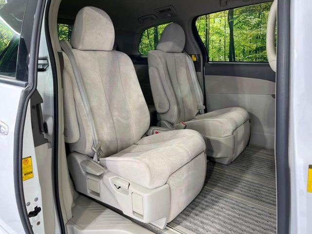 �㕔���Ȃ��C�ɂȂ�悤�ȃL�Y�E�����ւ��蓙�A�傫�ȃ_���[�W�͂Ȃ��A�ǍD�ȏ�Ԃł��B