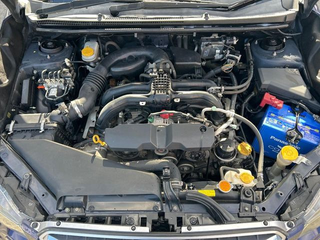 ����肪���ꂢ�Ȃ����ɁA�h�K���H�̎{�H���I�X�X���B�~��n��͂������A���ݕ��ɂ��Z���̕���A��Ń}�����E�E�B���^�[�X�|�[�c���������ɑ�ύD�]���������Ă���܂��B