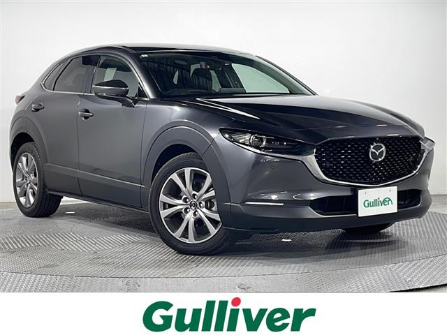 CX-301.8 XD Lパッケージ