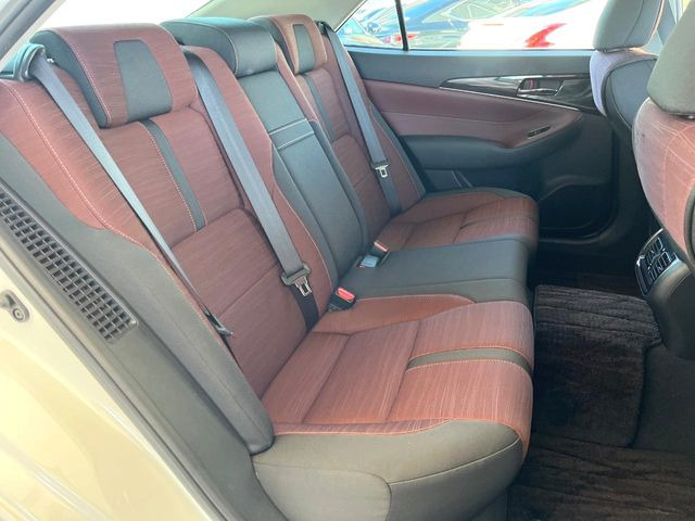 �㕔���Ȃ��C�ɂȂ�悤�ȃL�Y�E�����ւ��蓙�A�傫�ȃ_���[�W�͂Ȃ��A�ǍD�ȏ�Ԃł��B