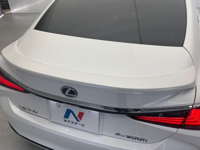 �y�����X�|�C���[�z�������s���̃X�^�r���e�B(���s���萫)����ɖ𗧂��܂��B