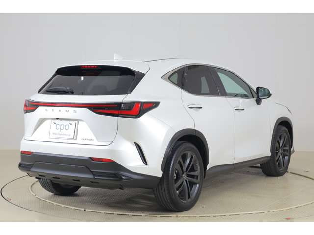 NX250 バージョンL