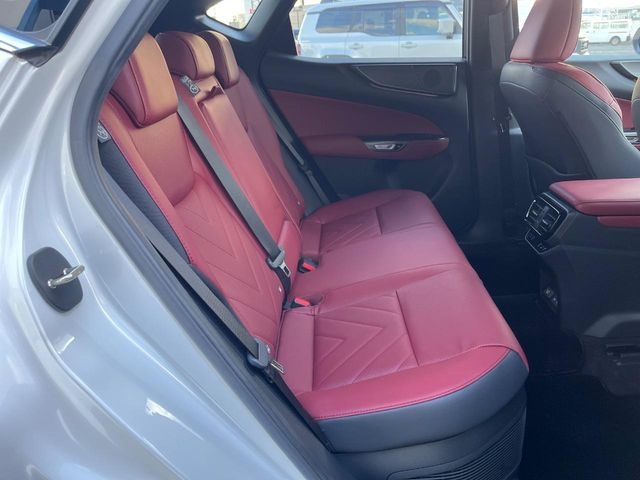 �㕔���Ȃ��C�ɂȂ�悤�ȃL�Y�E�����ւ��蓙�A�傫�ȃ_���[�W�͂Ȃ��A�ǍD�ȏ�Ԃł��B