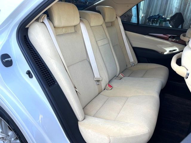 �㕔���Ȃ��C�ɂȂ�悤�ȃL�Y�E�����ւ��蓙�A�傫�ȃ_���[�W�͂Ȃ��A�ǍD�ȏ�Ԃł��B