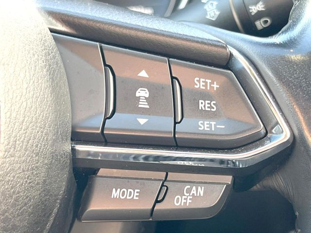 �y�}�c�_�E���[�_�[�N���[�Y�R���g���[���z�������H�ł̒��������s���y��!�����ő��x��ۂN���[�Y�R���g���[�����A�Փˌy���V�X�e���ƘA�g���A�O���̎ԗ������m���ĎԊԂ�ۂ悤�ɑ��x���߂��Ă���܂�!!