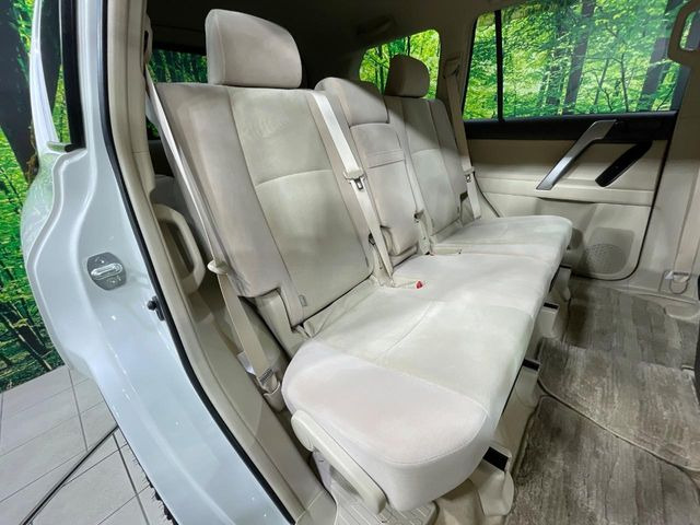 �㕔���Ȃ��C�ɂȂ�悤�ȃL�Y�E�����ւ��蓙�A�傫�ȃ_���[�W�͂Ȃ��A�ǍD�ȏ�Ԃł��B