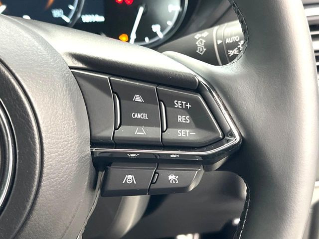 �y�}�c�_�E���[�_�[�N���[�Y�R���g���[���z�������H�ł̒��������s���y��!�����ő��x��ۂN���[�Y�R���g���[�����A�Փˌy���V�X�e���ƘA�g���A�O���̎ԗ������m���ĎԊԂ�ۂ悤�ɑ��x���߂��Ă���܂�!!