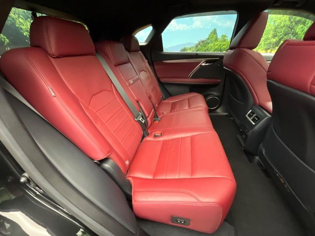 �㕔���Ȃ��C�ɂȂ�悤�ȃL�Y�E�����ւ��蓙�A�傫�ȃ_���[�W�͂Ȃ��A�ǍD�ȏ�Ԃł��B