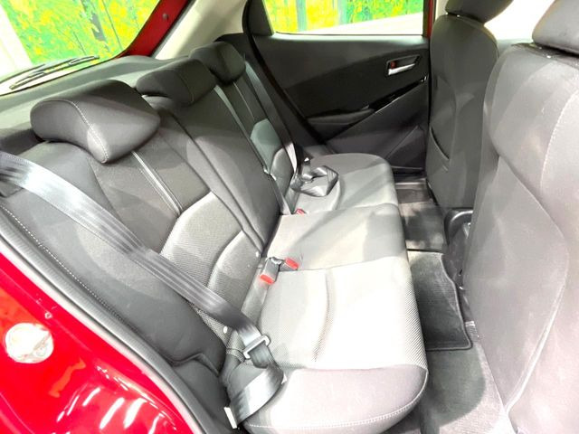 �㕔���Ȃ��C�ɂȂ�悤�ȃL�Y�E�����ւ��蓙�A�傫�ȃ_���[�W�͂Ȃ��A�ǍD�ȏ�Ԃł��B