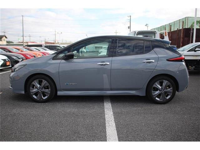 ���Ǝҗl�ւ̔̔��͂��f�肳���Ă��������܂��B �Ԍ������ԗ��̏ꍇ�́A�Ԍ����擾�������x�������z�ŕ\�����Ă���܂��B