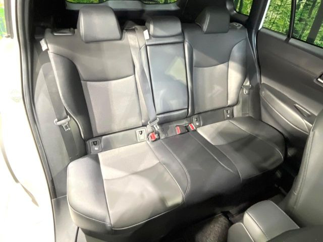 �㕔���Ȃ��C�ɂȂ�悤�ȃL�Y�E�����ւ��蓙�A�傫�ȃ_���[�W�͂Ȃ��A�ǍD�ȏ�Ԃł��B