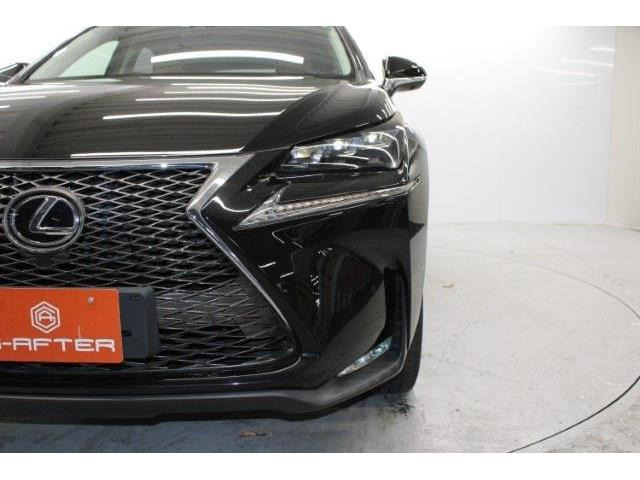 ���Ǝҗl�ւ̔̔��͂��f�肳���Ă��������܂��B �Ԍ������ԗ��̏ꍇ�́A�Ԍ����擾�������x�������z�ŕ\�����Ă���܂��B