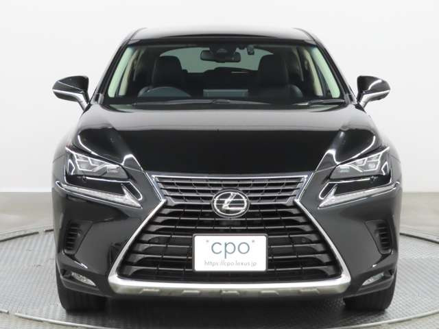 NX300 バージョンL