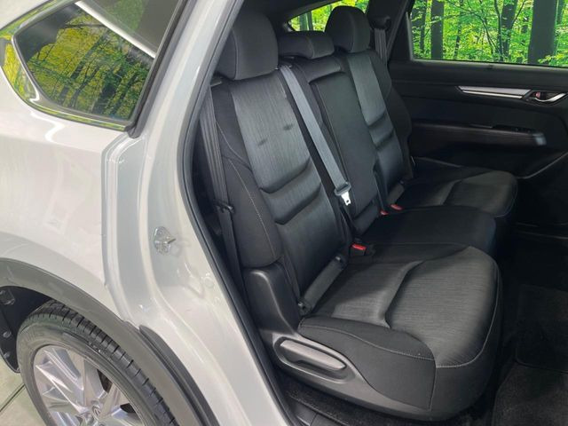 �㕔���Ȃ��C�ɂȂ�悤�ȃL�Y�E�����ւ��蓙�A�傫�ȃ_���[�W�͂Ȃ��A�ǍD�ȏ�Ԃł��B