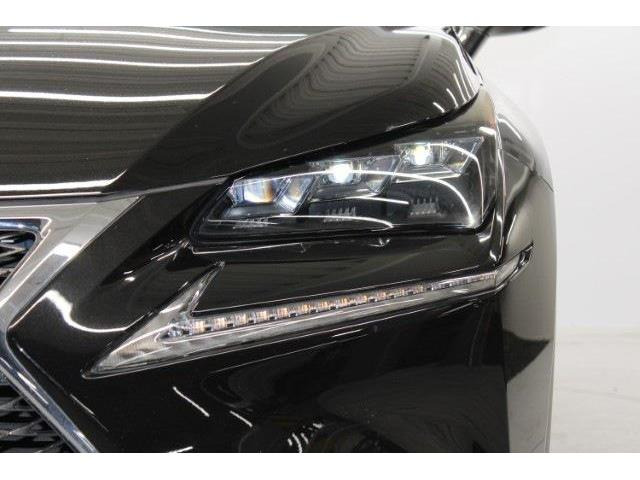 ���Ǝҗl�ւ̔̔��͂��f�肳���Ă��������܂��B �Ԍ������ԗ��̏ꍇ�́A�Ԍ����擾�������x�������z�ŕ\�����Ă���܂��B