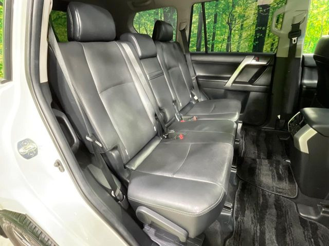 �㕔���Ȃ��C�ɂȂ�悤�ȃL�Y�E�����ւ��蓙�A�傫�ȃ_���[�W�͂Ȃ��A�ǍD�ȏ�Ԃł��B