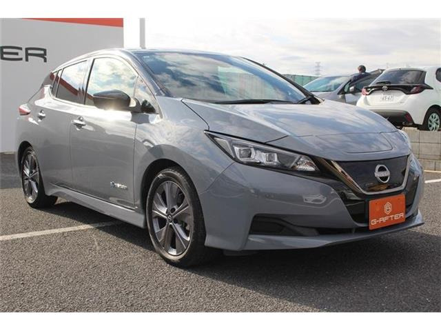 ���Ǝҗl�ւ̔̔��͂��f�肳���Ă��������܂��B �Ԍ������ԗ��̏ꍇ�́A�Ԍ����擾�������x�������z�ŕ\�����Ă���܂��B