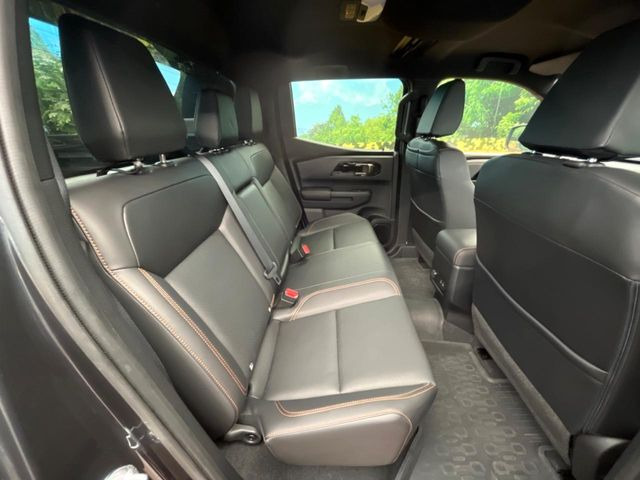 �㕔���Ȃ��C�ɂȂ�悤�ȃL�Y�E�����ւ��蓙�A�傫�ȃ_���[�W�͂Ȃ��A�ǍD�ȏ�Ԃł��B