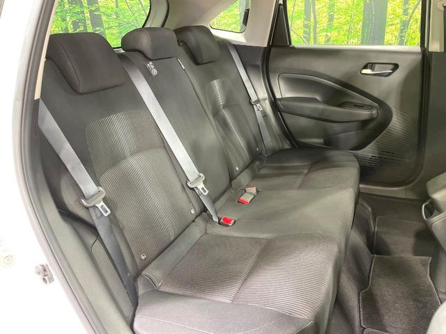 �㕔���Ȃ��C�ɂȂ�悤�ȃL�Y�E�����ւ��蓙�A�傫�ȃ_���[�W�͂Ȃ��A�ǍD�ȏ�Ԃł��B