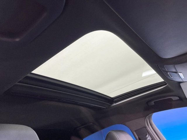 ���p�m���}�~�b�N�K���X���[�t:�唗�͂̃p�m���}���[�t�́A�㕔���Ȃɂ܂ő����Ă���A�J���I�ȋ�Ԃ����y���݂��������܂��B