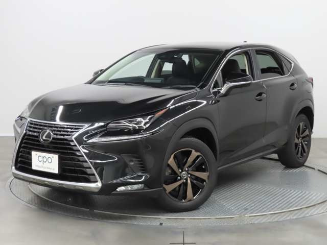 NX300 バージョンL