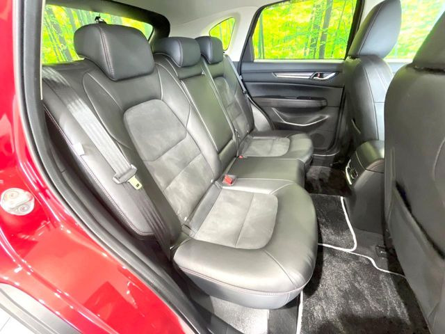 �㕔���Ȃ��C�ɂȂ�悤�ȃL�Y�E�����ւ��蓙�A�傫�ȃ_���[�W�͂Ȃ��A�ǍD�ȏ�Ԃł��B