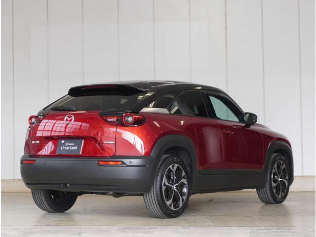 MX-302.0 ナチュラル モノトーン