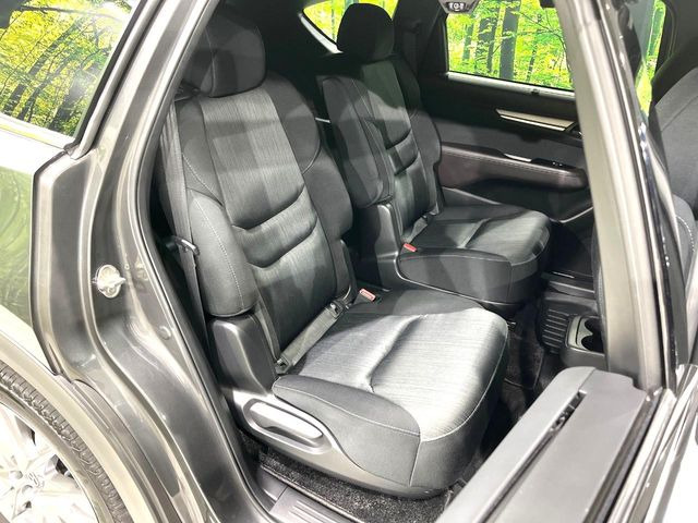 �㕔���Ȃ��C�ɂȂ�悤�ȃL�Y�E�����ւ��蓙�A�傫�ȃ_���[�W�͂Ȃ��A�ǍD�ȏ�Ԃł��B