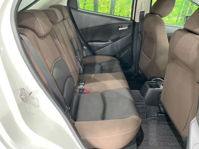 �㕔���Ȃ��C�ɂȂ�悤�ȃL�Y�E�����ւ��蓙�A�傫�ȃ_���[�W�͂Ȃ��A�ǍD�ȏ�Ԃł��B