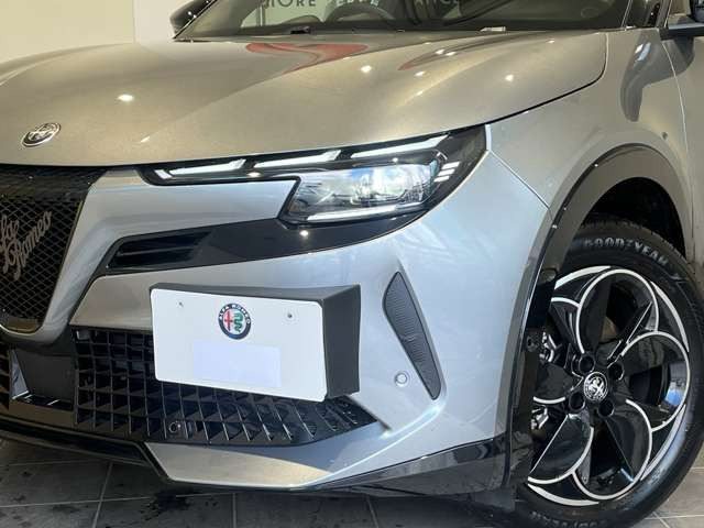 ジュニアイブリダ プレミアム