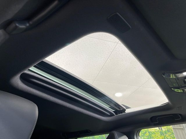 �y�T�����[�t�z�J���������Ղ�̊󏭑����A�T�����[�t����������Ă��܂�!�ԓ��ɖ�����������ꂽ��i�F���y���ވȊO�ɂ��A�ԓ��̋�C���ȒP�Ɋ��C�ł��ĉ��K�ł�!