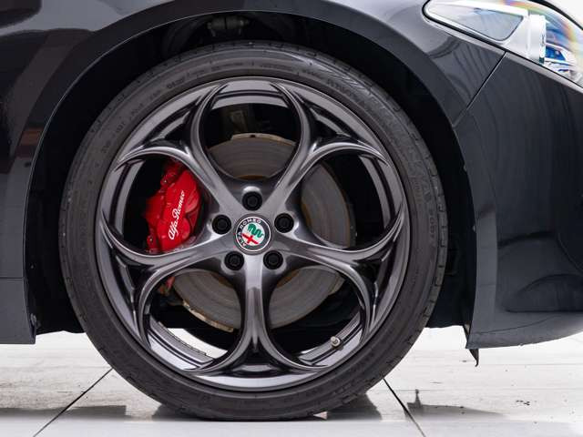 �k�C�����牫��܂őS�������[�Ԃ̎��ё�������B�����Ō��Ԃ������Ȃ����ł����S���o����悤�A�ʐ^�⓮��T�[�r�X�A�Ӓ�؂̒�o�A���C�u���k�Ȃǂ����p�ӁB�Ԃ̃R�R�������Əڂ���������!�͑劽�}�ł�!