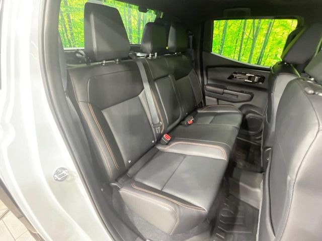 �㕔���Ȃ��C�ɂȂ�悤�ȃL�Y�E�����ւ��蓙�A�傫�ȃ_���[�W�͂Ȃ��A�ǍD�ȏ�Ԃł��B