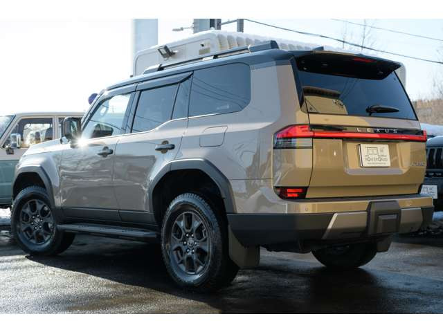 �΂ߌ������݂Ă����݊���������܂��B