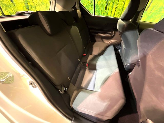 �㕔���Ȃ��C�ɂȂ�悤�ȃL�Y�E�����ւ��蓙�A�傫�ȃ_���[�W�͂Ȃ��A�ǍD�ȏ�Ԃł��B