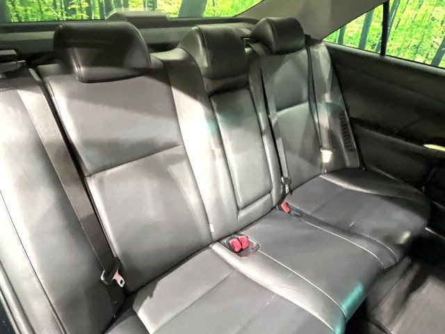 �㕔���Ȃ��C�ɂȂ�悤�ȃL�Y�E�����ւ��蓙�A�傫�ȃ_���[�W�͂Ȃ��A�ǍD�ȏ�Ԃł��B