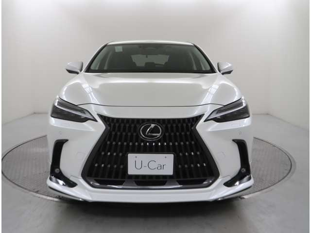 NX350h バージョンL